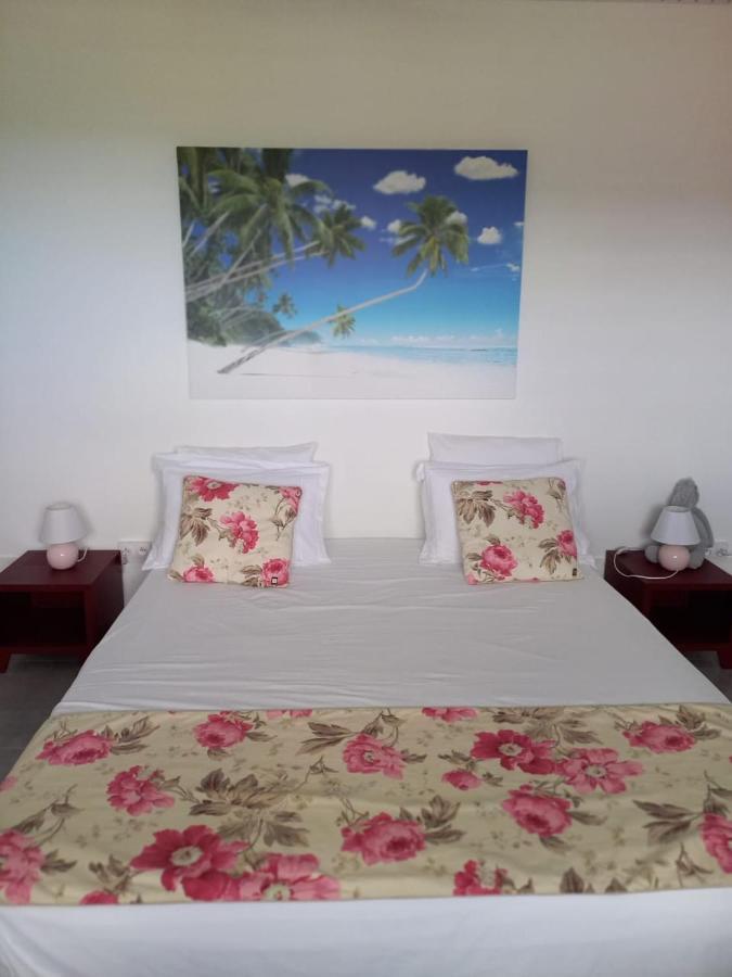 Le Damour Appartement 1 Ou 2 Chambres لو أنسيه دو أرليتز المظهر الخارجي الصورة